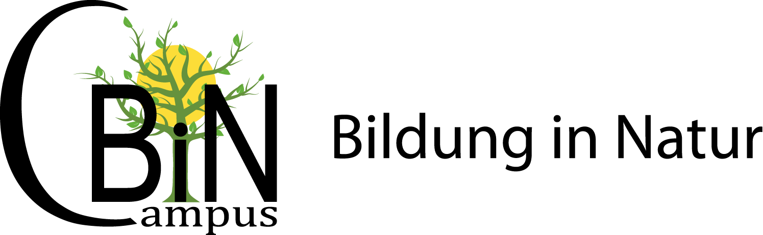 Logo_Header_BiN